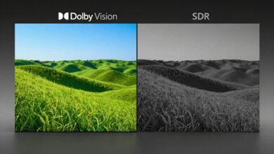 Dolby Vision Iphone